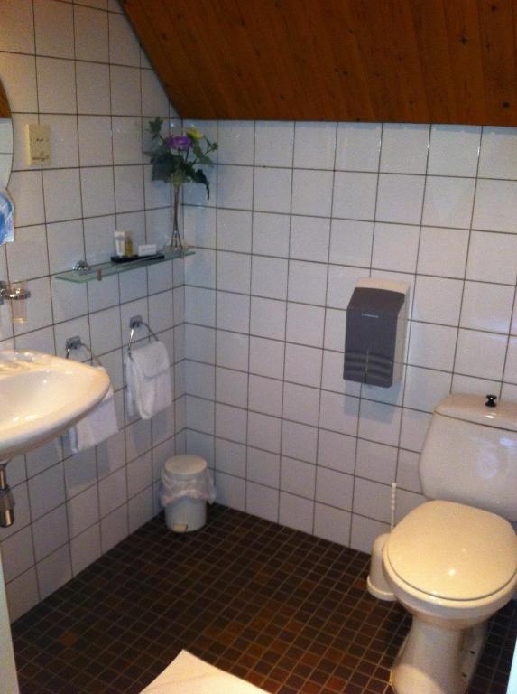 Someren Hotel-Restaurant Krabbendam חדר תמונה